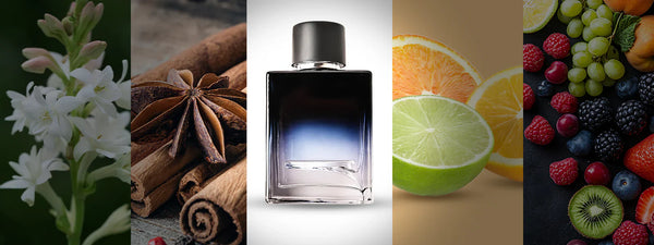 Best Perfumes for Men That Last All Day