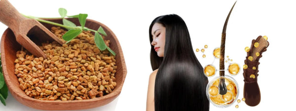 8 Powerful Reasons Methi Dana Shampoo Erases Dandruff