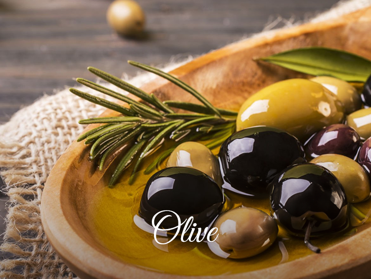 Best Olive and Argan Hair Care Products 100% Mircoplastic Free Formulation