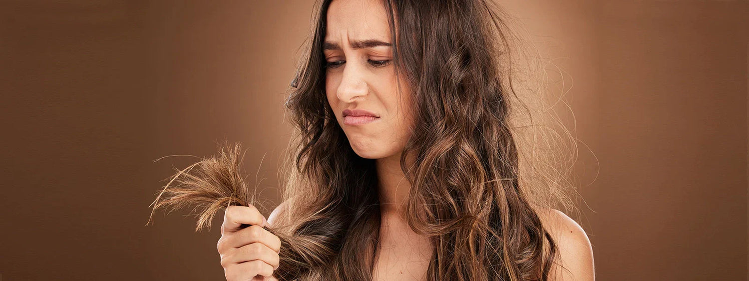 Dry & Damaged Hair