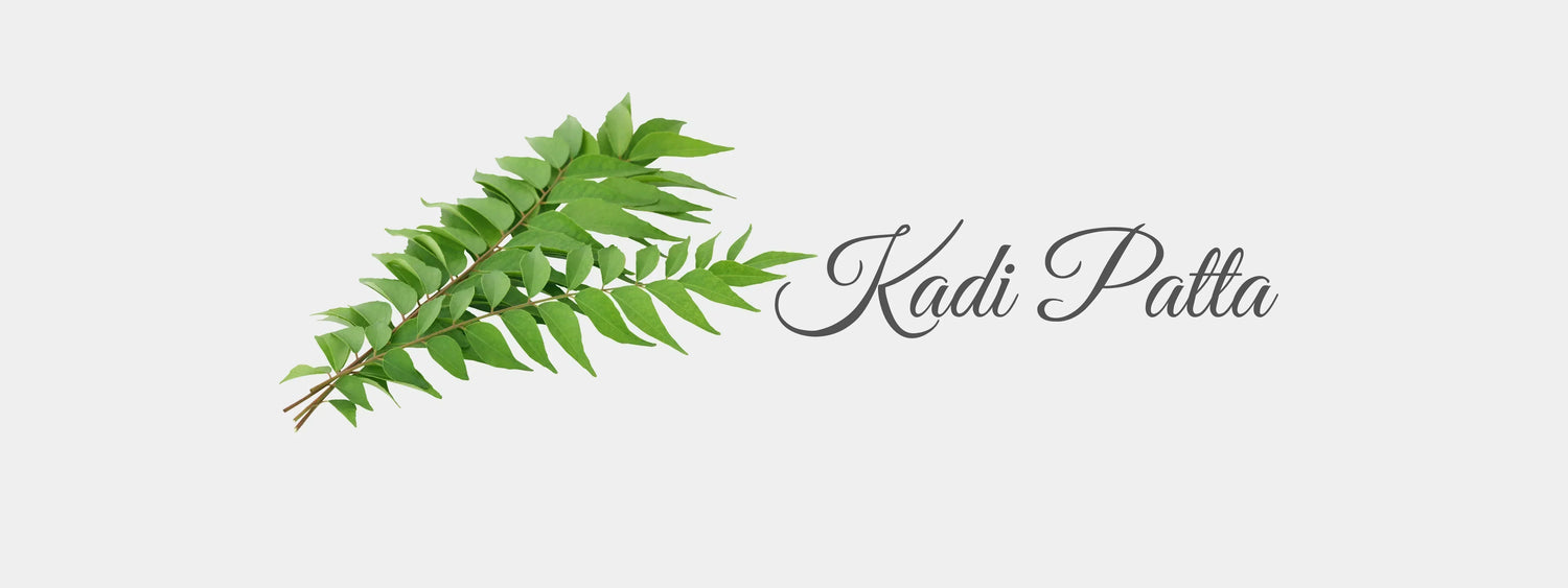 Kadi Patta