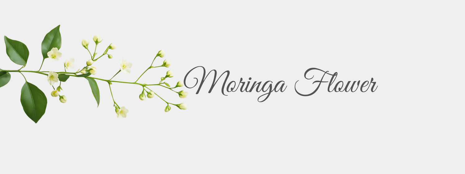 Moringa Flower