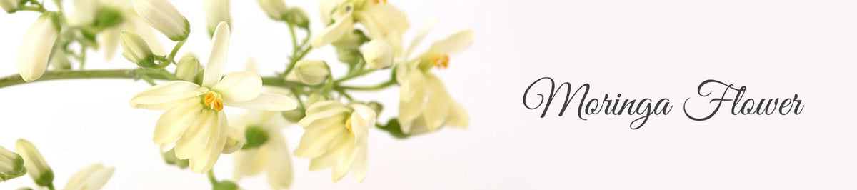 La Pink Moringa Flower Ingredient Collection - 100% Microplastic Free Products - La Pink