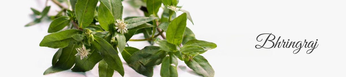 Bhringraj for Strengthens Your Hair for Faster Growth - La Pink