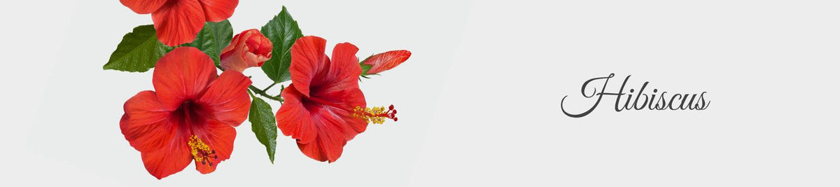Hibiscus Products for Hair - La Pink