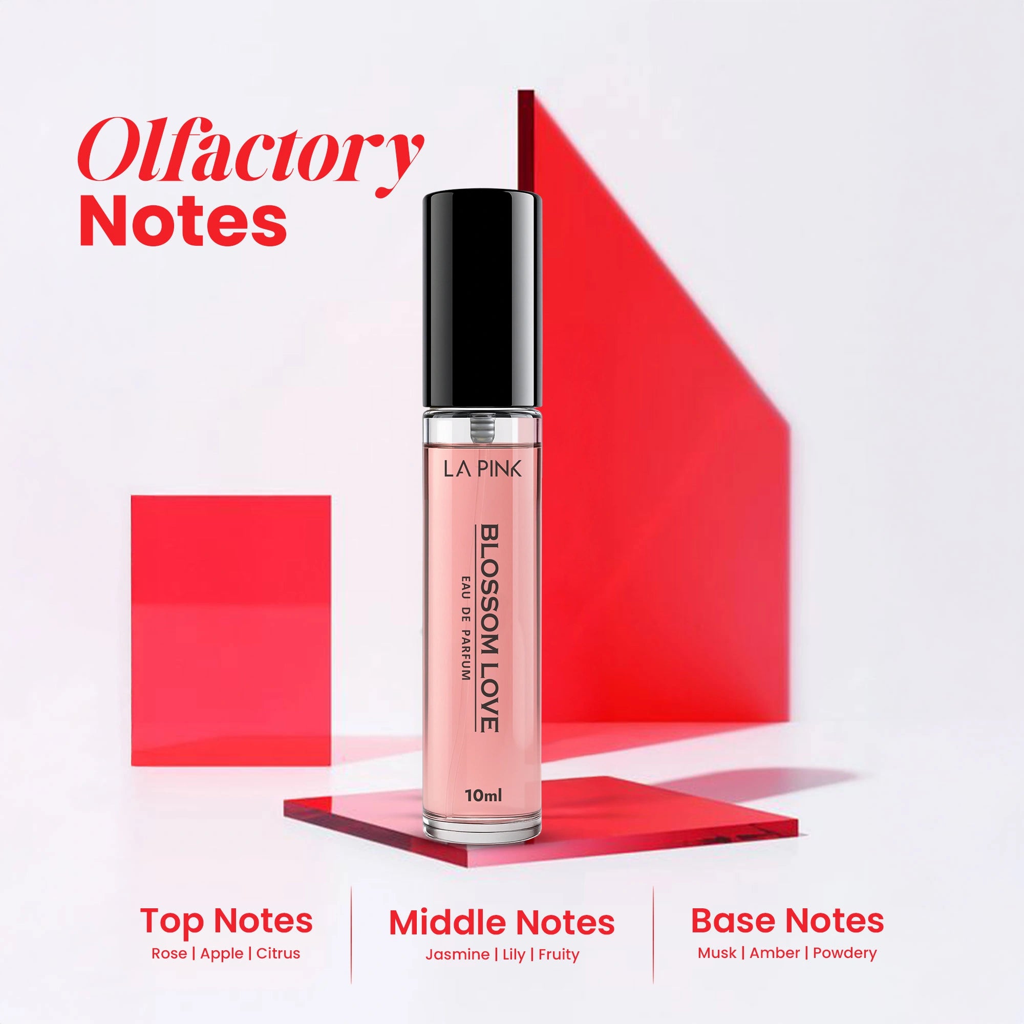 Silver Collection Luxury EDP Perfume Discovery Pack - (10ml x 4)