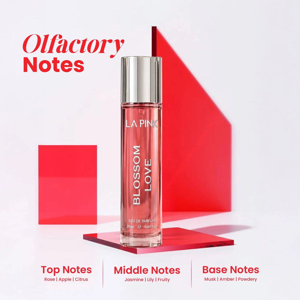 Festive Perfume Gift Set for Men &amp; Women