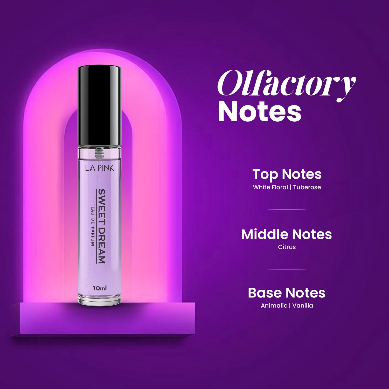 Silver Collection Luxury EDP Perfume Discovery Pack - (10ml x 4)