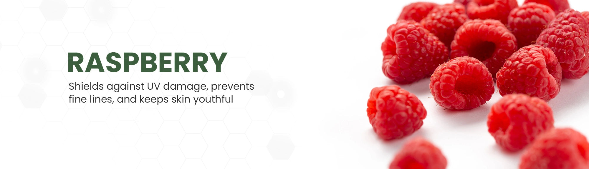 Raspberries with text about their skin benefits on a white background